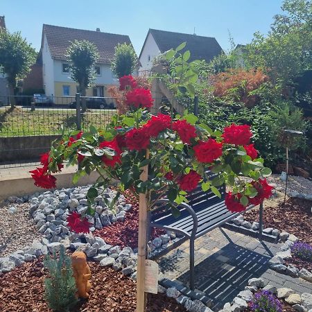 Fewo-Kreiensen Einbeck Exteriör bild